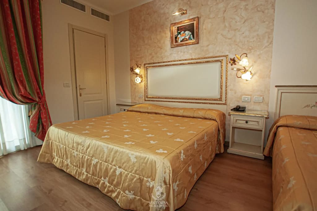 Viktoria Palace Hotel - photo 22