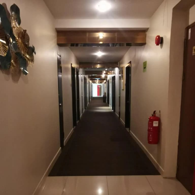 De Leon Hotel ll - photo 5