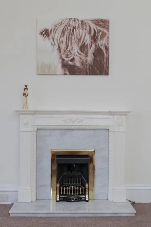 Polworth Flat In Edinburgh - photo 9