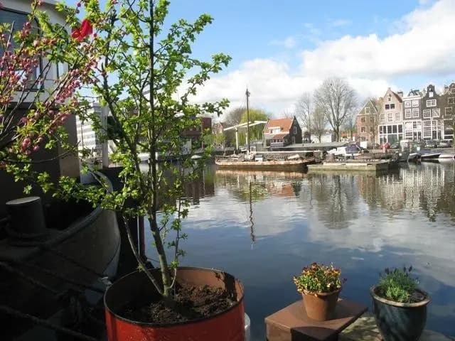 Houseboat Ms Luctor - photo 13