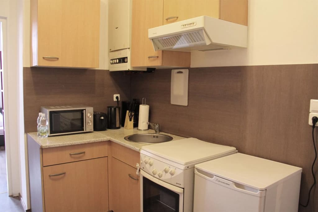 CheckVienna – Apartment Davidgasse - photo 3