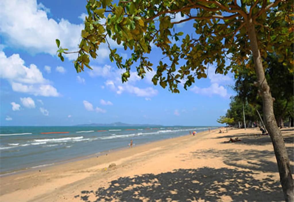 Rabbit Resort Pattaya - photo 14