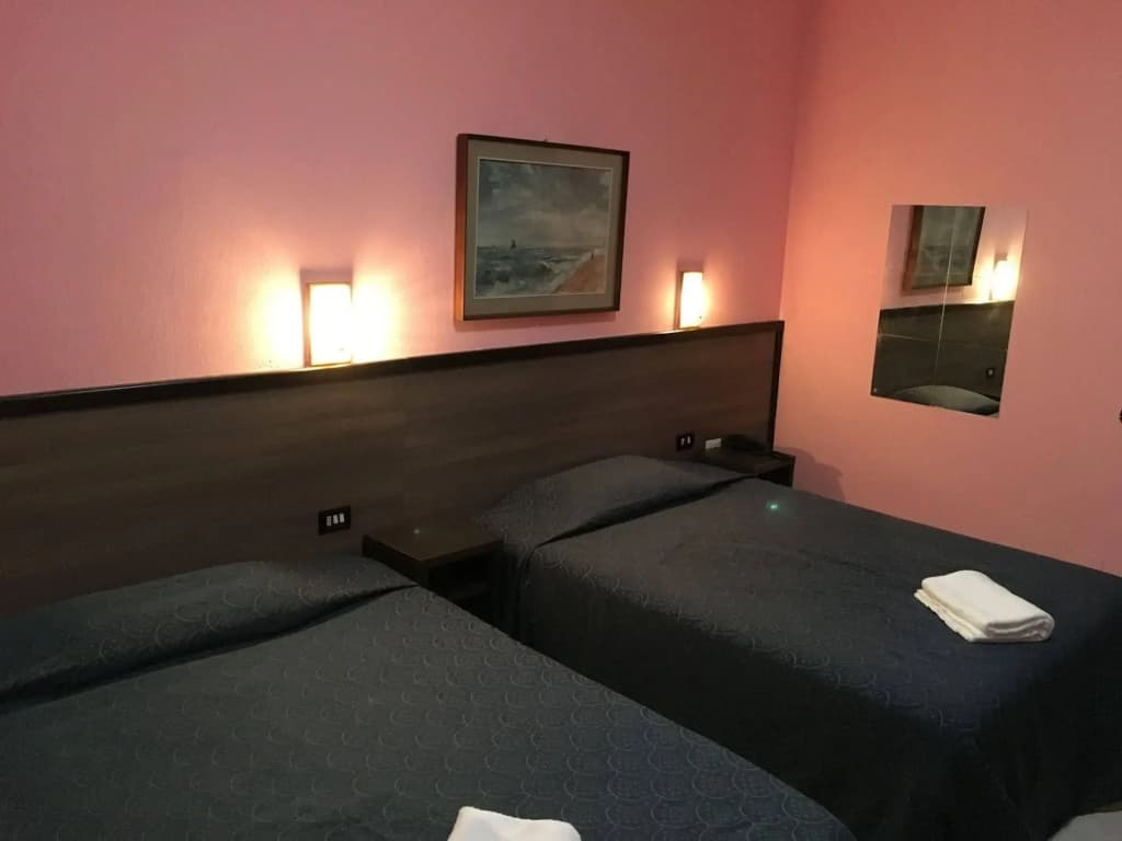 Hotel Salus - photo 5