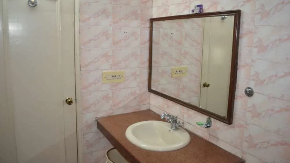 Hotel Atithi Palace - photo 8