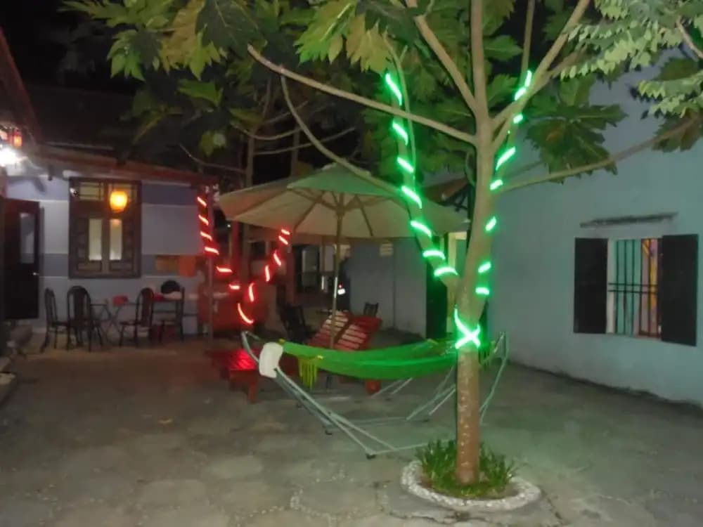 Milk Fruit Homestay - photo 17
