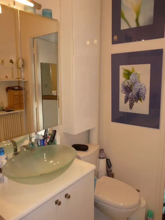 Location Sweet Home Paris 12 Terrasse Verdure 55m 2 pièces - photo 8