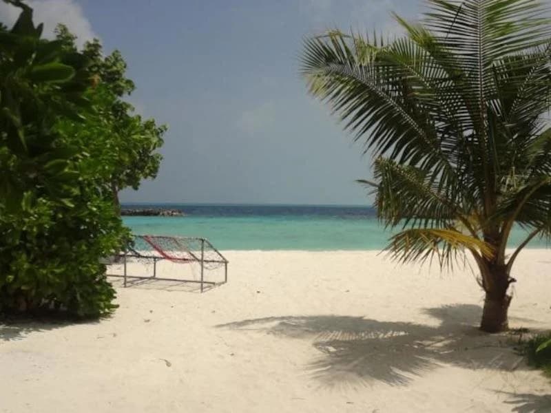 Variety Stay Guest House Maldives - photo 12