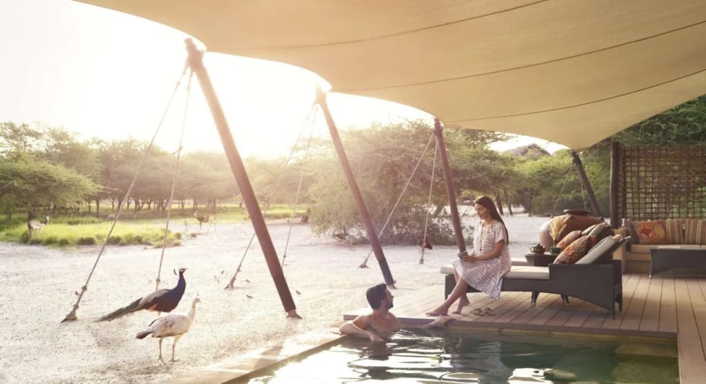 Anantara Sir Bani Yas Island Resorts - photo 21