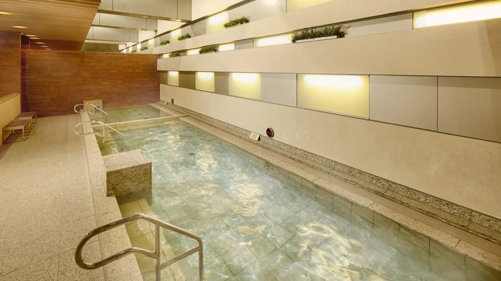 Hotel Villa Fontaine Grand Tokyo-ariake - photo 16