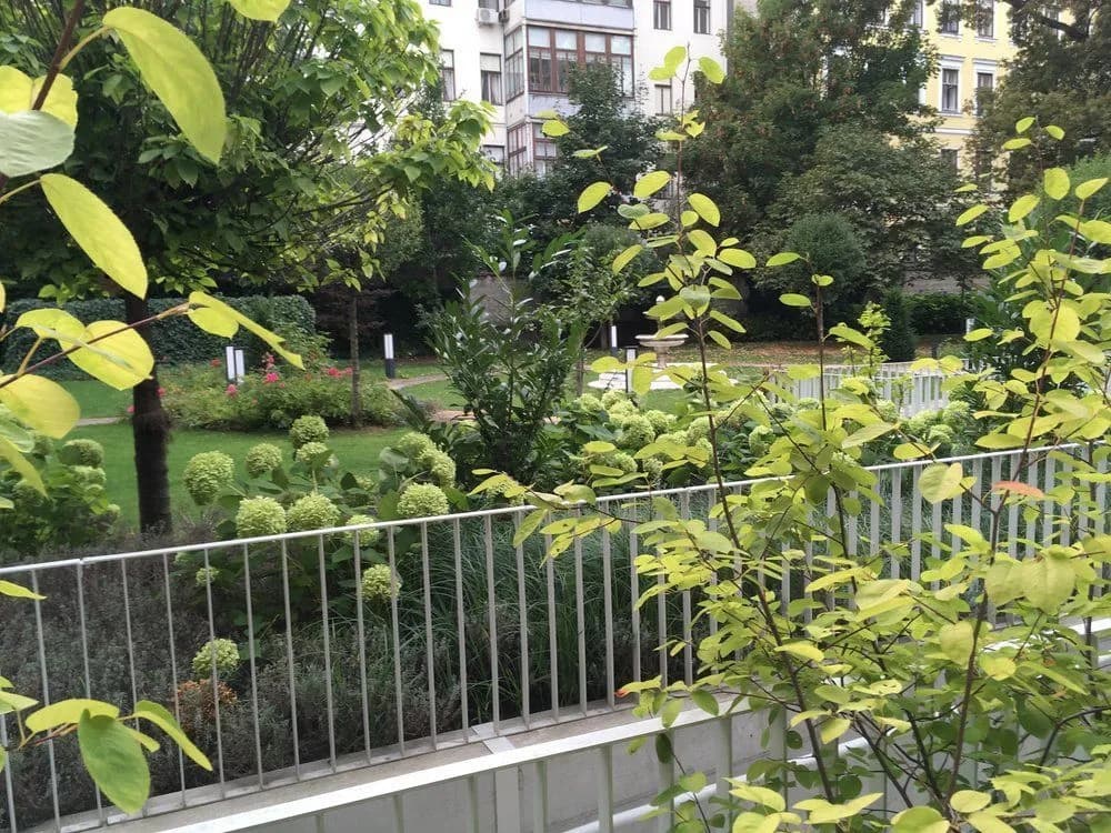 Apartments near Rathaus - photo 14