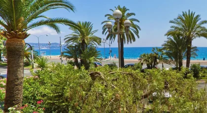 Spacious Studio Right @ The Beach - photo 8