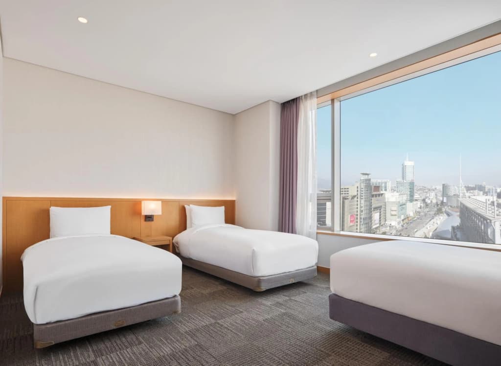 Sotetsu Hotels The Splaisir Seoul Dongdaemun - photo 28