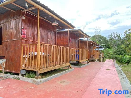 Hotel O Disan Baang Kiulu - photo 2