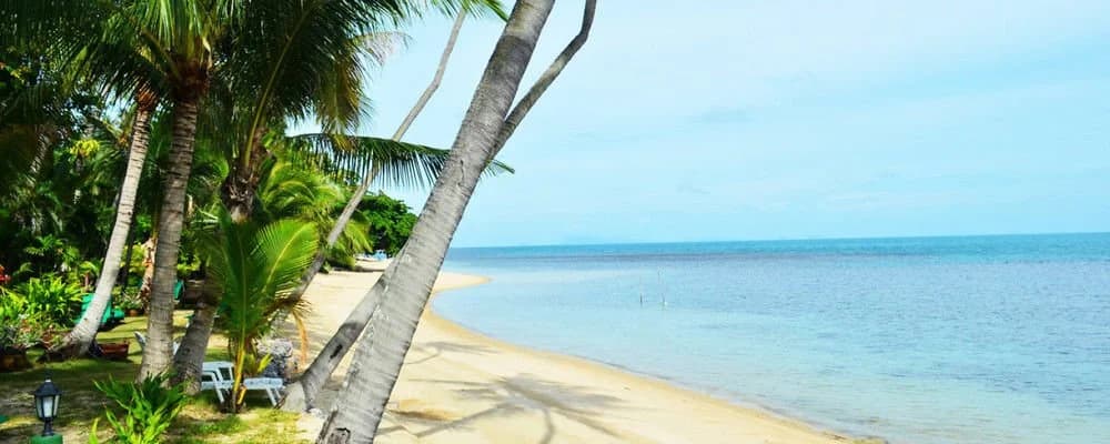 Green Coconut Village A1 - photo 10