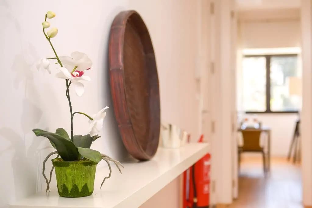 Gulbenkian Apartment - photo 6