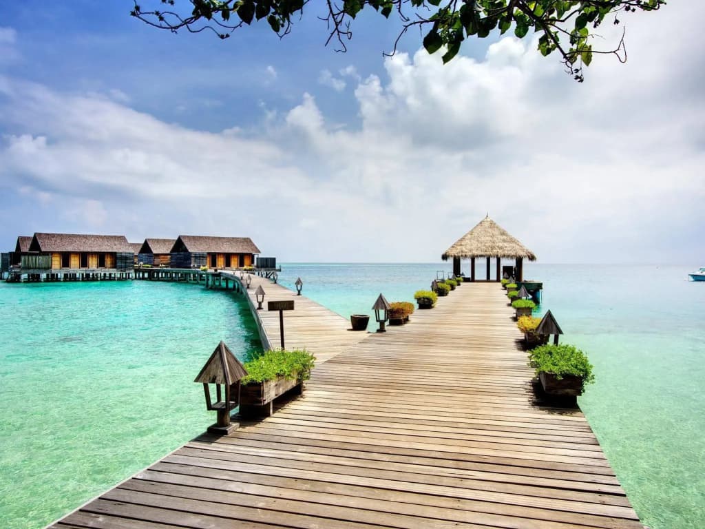 Gangehi Island Resort - photo 30