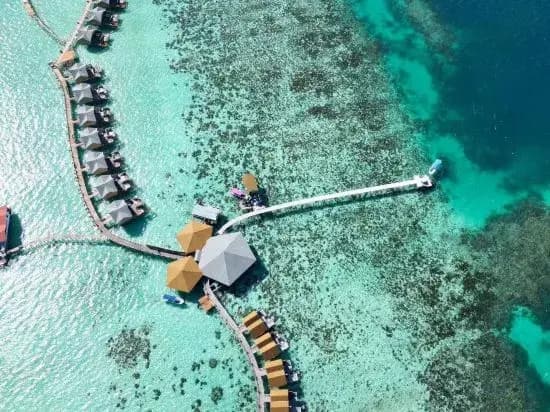 Jelly Sea Resort - photo 6