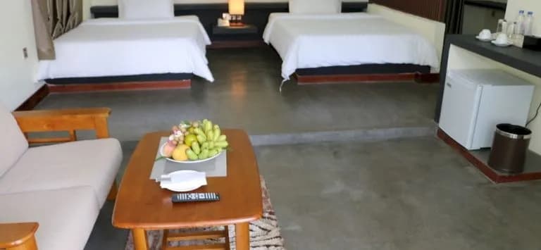 Alis Angkor Boutique Villa & Resort - photo 6