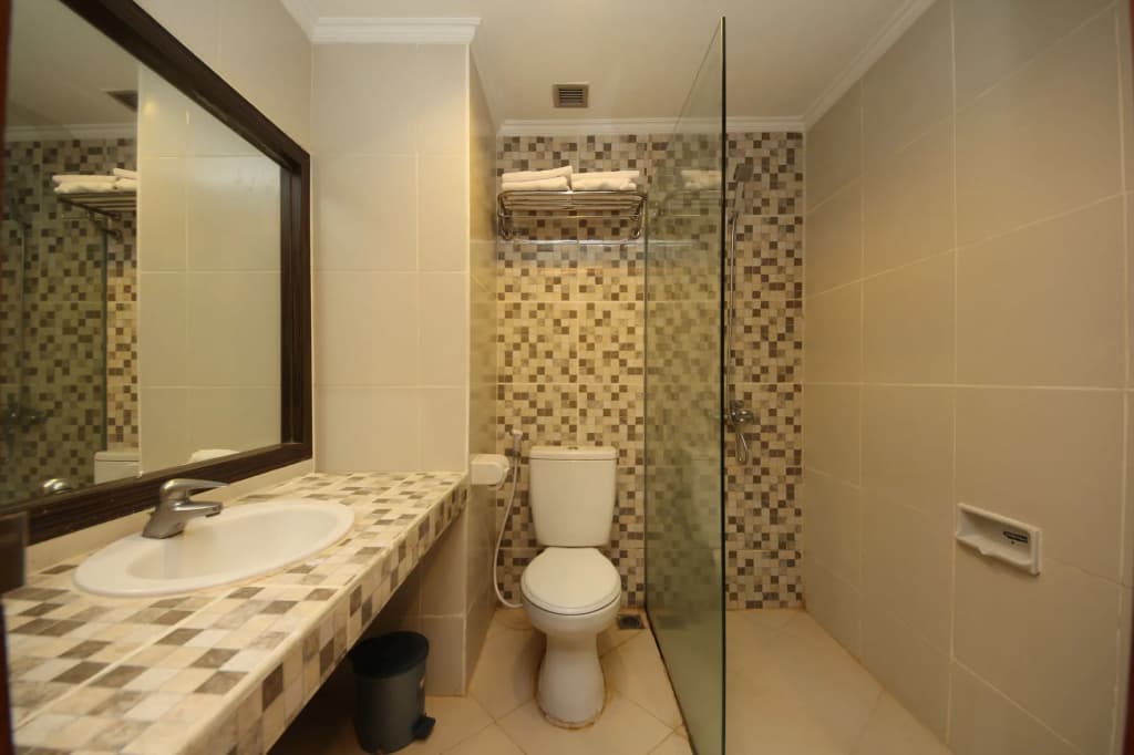 Hotel Maharani - photo 8