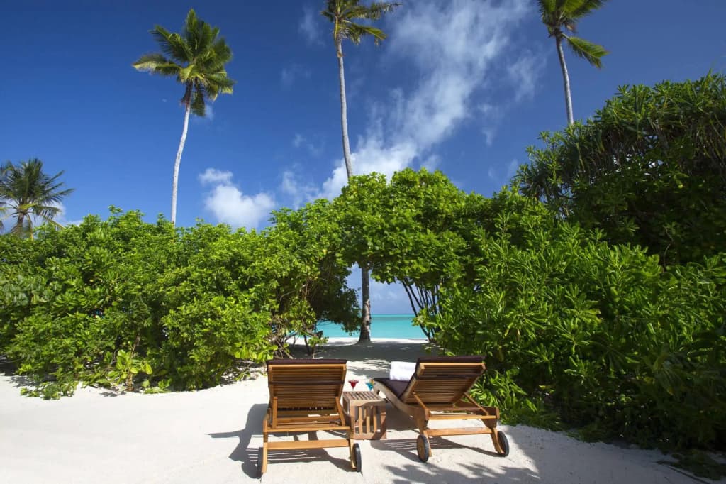 Atmosphere Kanifushi - All Inclusive with Free Transfers - photo 27