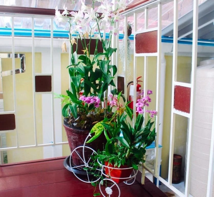 Star Hostel Tokslip - photo 13