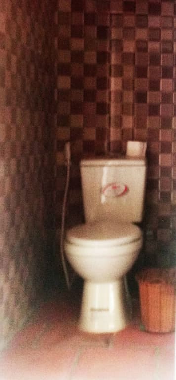 The Birdhouse - photo 3