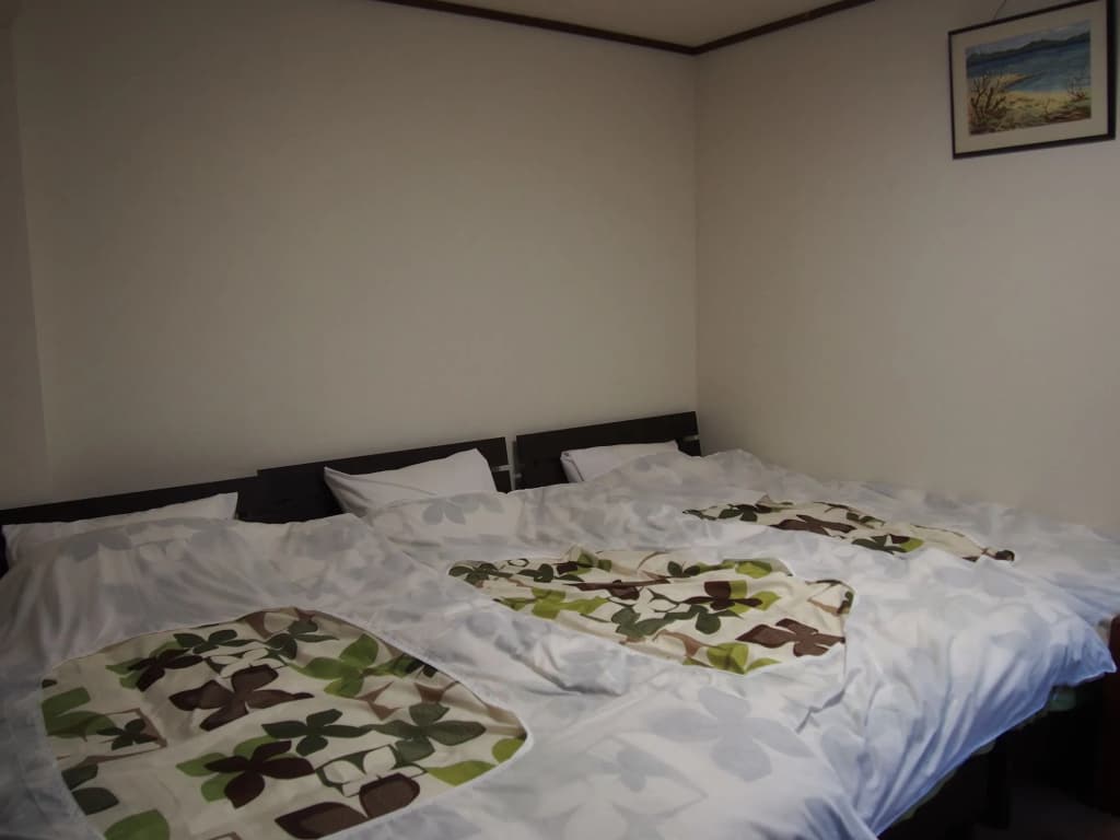 Guest house Maika - photo 2