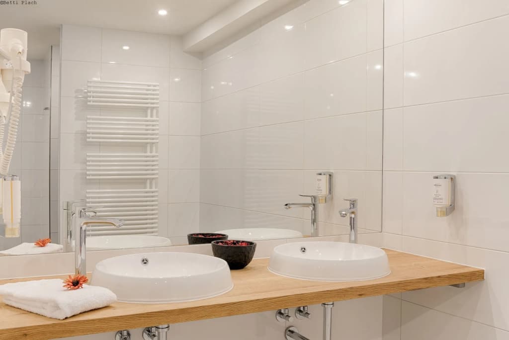 Mercure Hotel Raphael Wien - photo 8