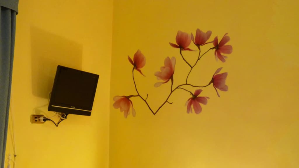Daplace - Arena House - photo 10