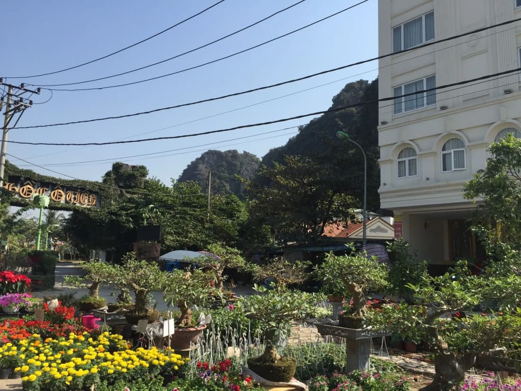 Ha Long Park Hotel - photo 18