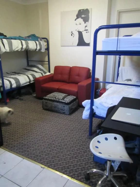 Manly Bunkhouse - Hostel - photo 4