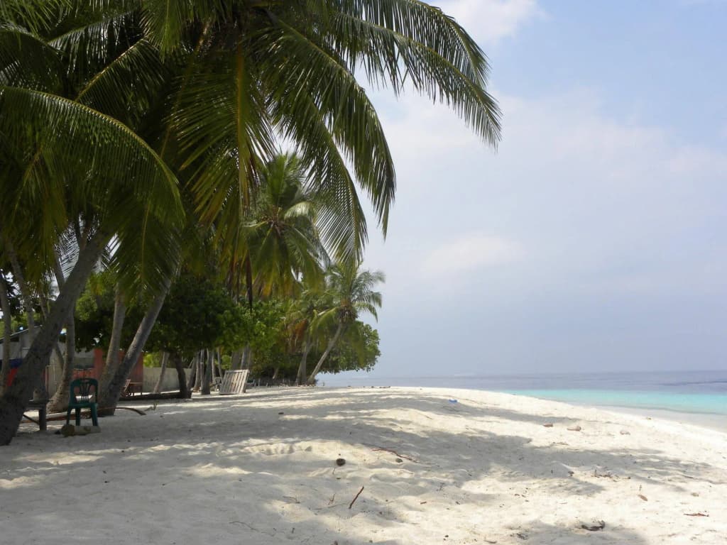 Madi Finolhu Guesthouse - photo 18