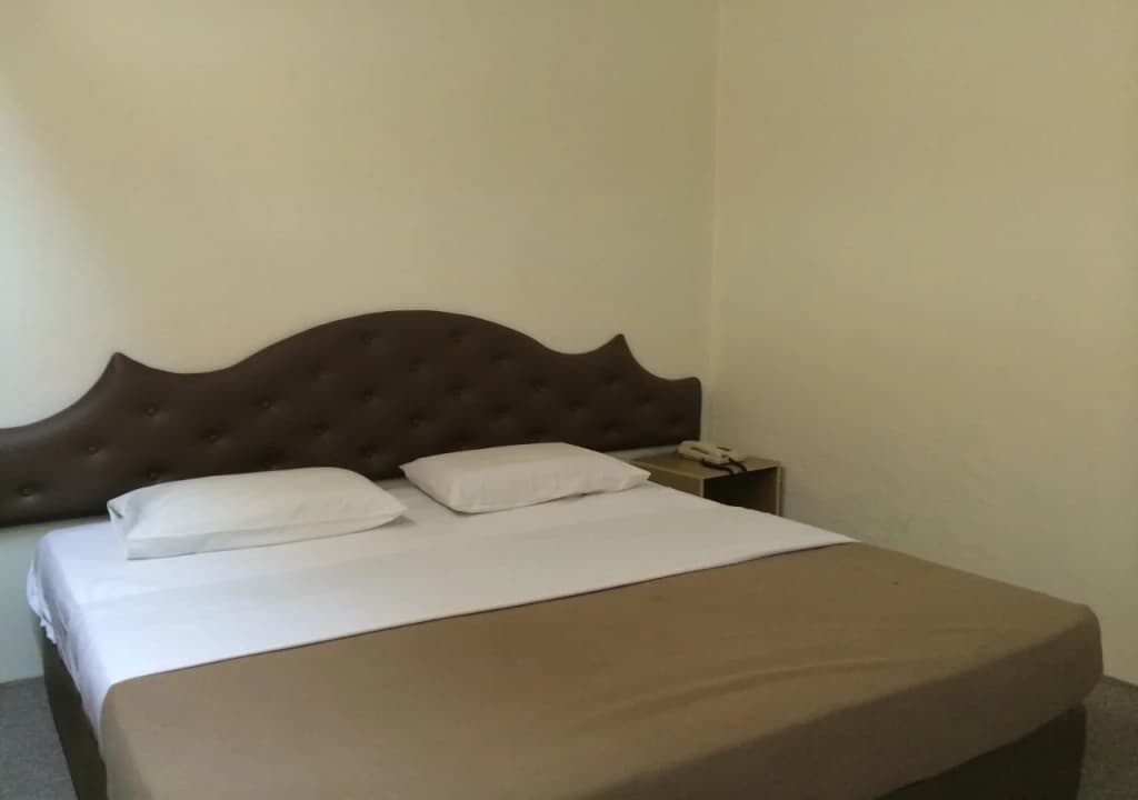 Palace Hotel - photo 7