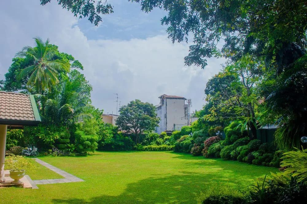 Magic Mansion - photo 11