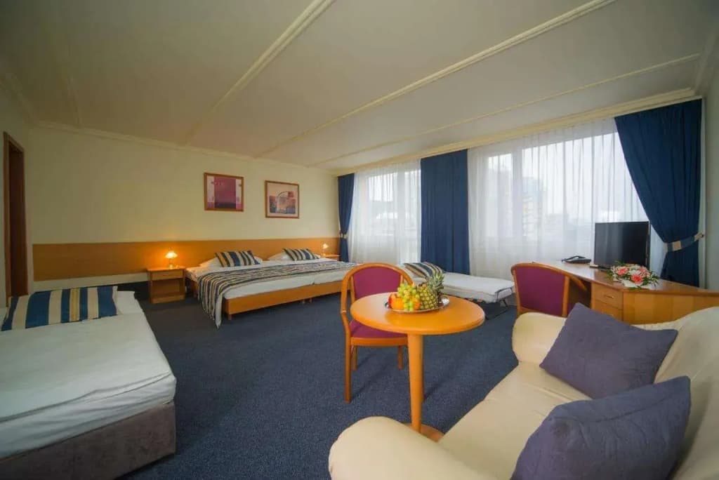 TOP HOTEL Praha & Conference Centre - photo 5