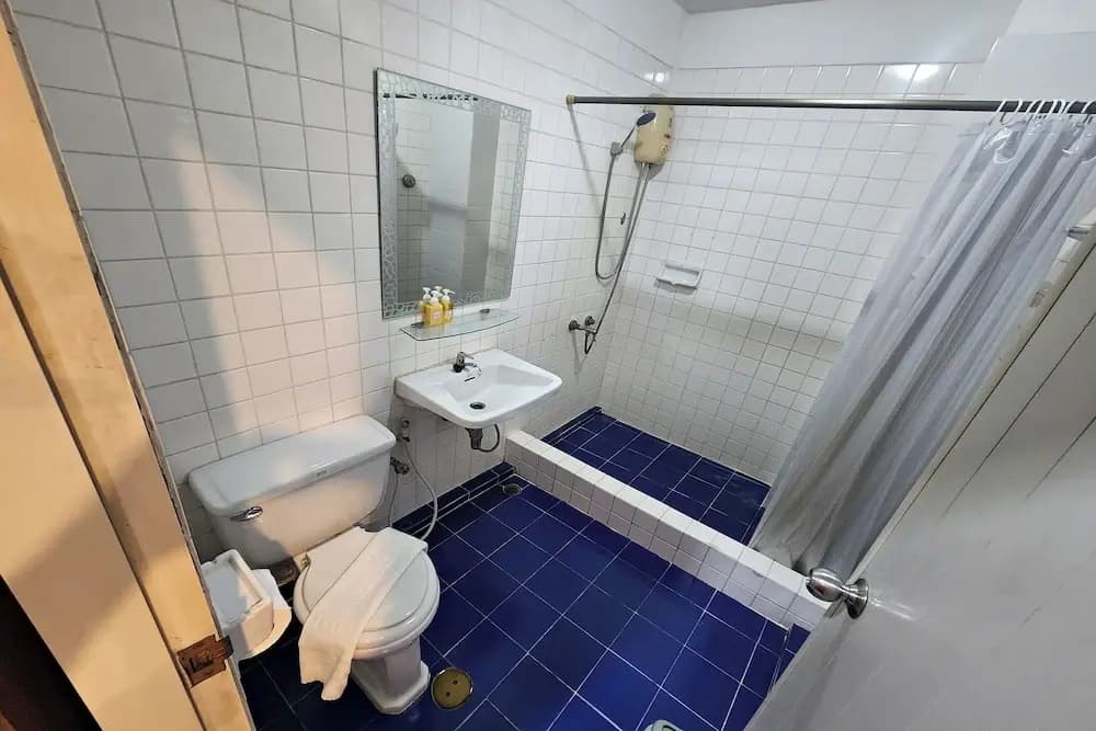 Suan Sunandha Palace Hotel - photo 29