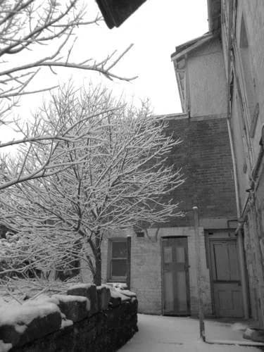 The Cecil Guesthouse - photo 46