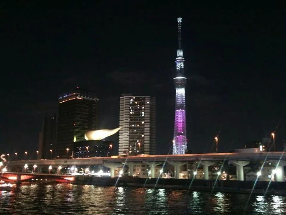 Kanae House - photo 19