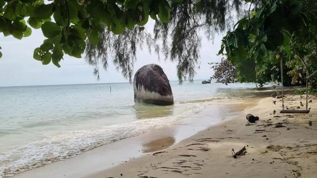 PawPaw Resort - photo 12