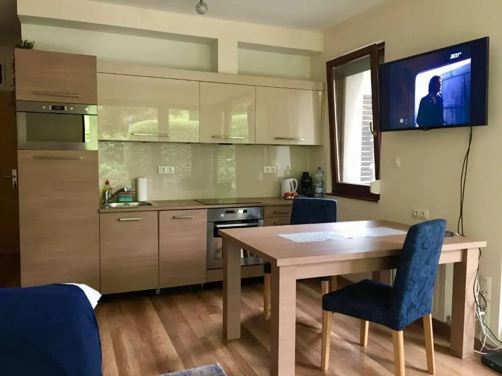 Madarhegy Apartment with garden Buda side - photo 15
