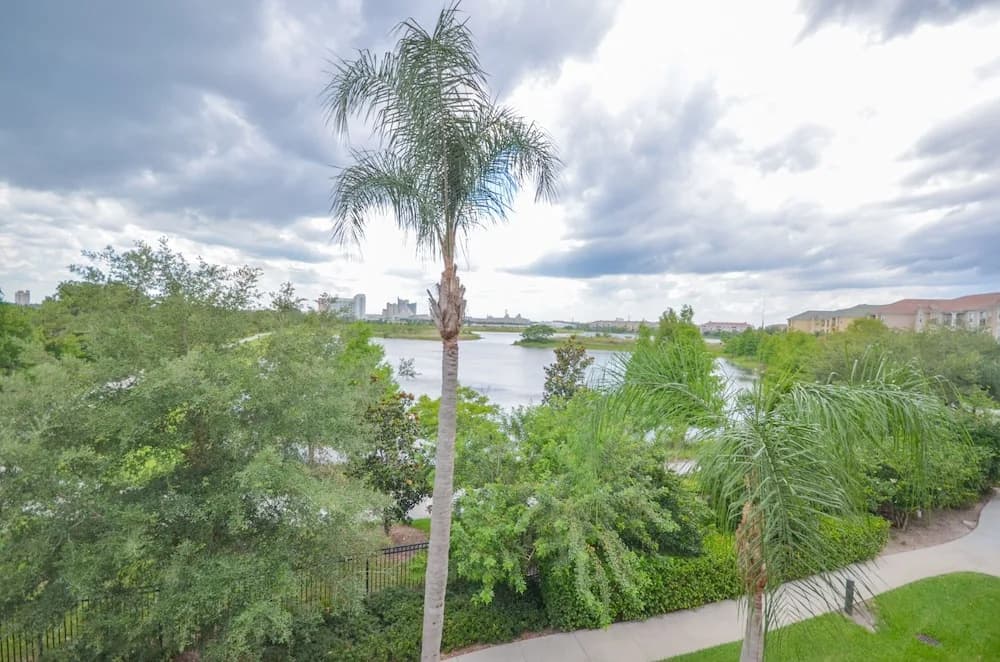 Lakeview Sunshine - photo 17