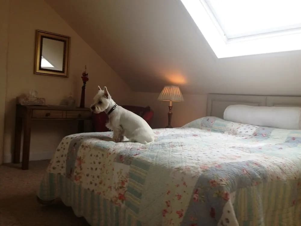 Glendevon Central Bed and Breakfast - photo 5