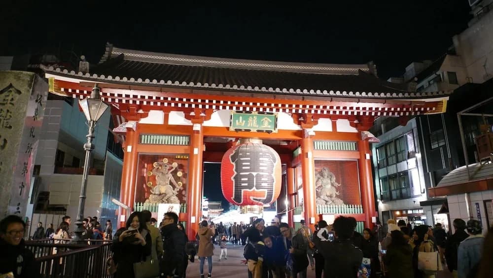 Tsuru 101 - main photo