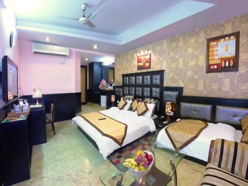 OYO 8505 Hotel Ashu Palace - photo 21