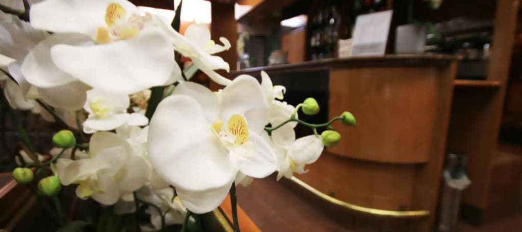 Hotel Lido - photo 17