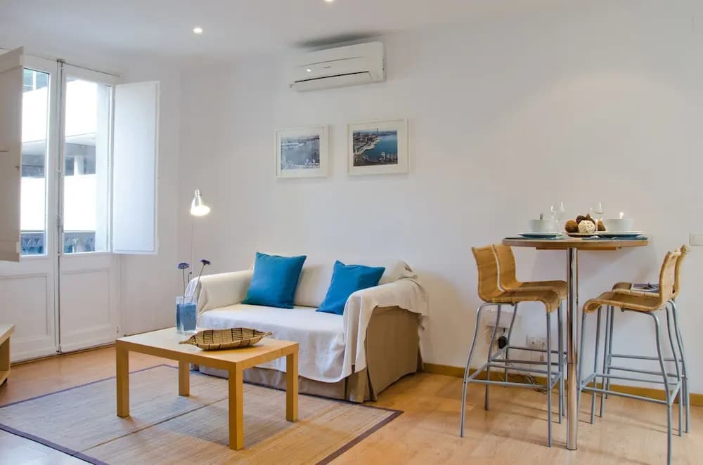 Ripoll Apartments - photo 2