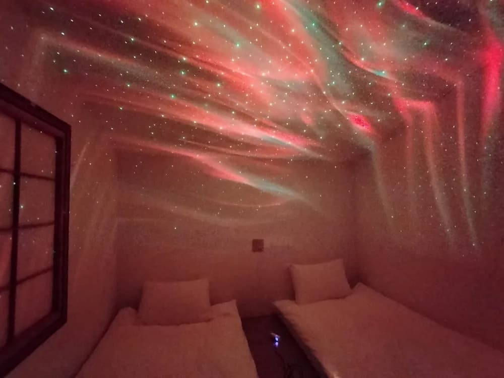 Hotel Belle Via Tokyo - photo 22