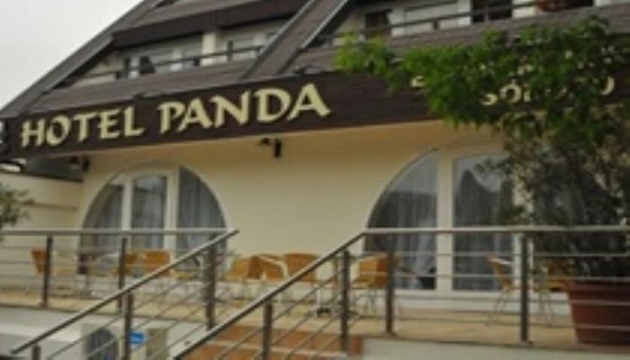 Panda - main photo