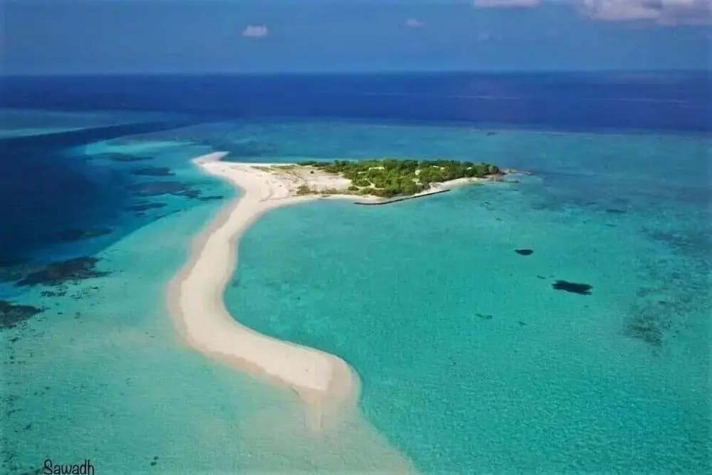 Explore Island Inn - photo 9