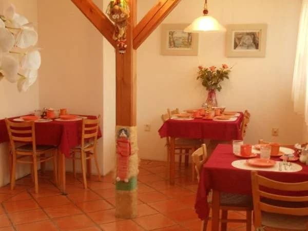 Pension Karel - photo 10